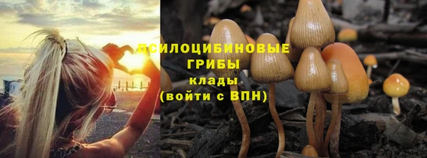 сатива Арсеньев