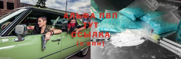 сатива Арсеньев