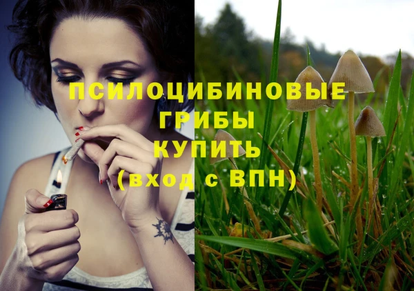 тгк Армянск
