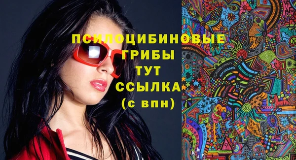 сатива Арсеньев