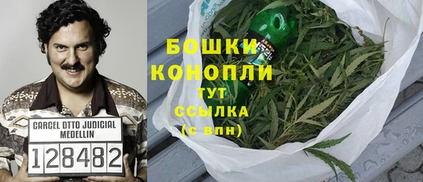 сатива Арсеньев