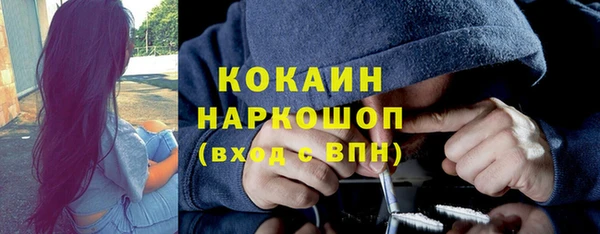 сатива Арсеньев