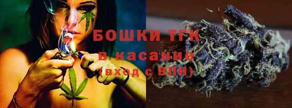 сатива Арсеньев
