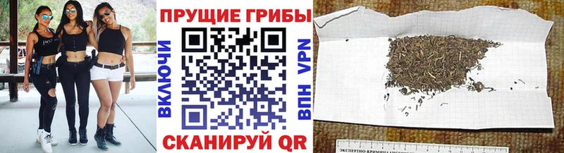 Галлюциногенные грибы Cubensis  площадка телеграм  Перевоз 